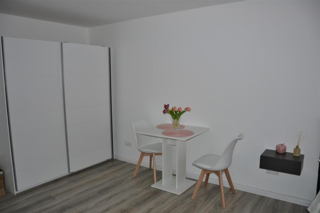 Sophie Flair Apartment カールスルーエ エクステリア 写真