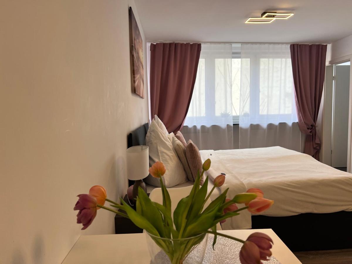 Sophie Flair Apartment カールスルーエ エクステリア 写真